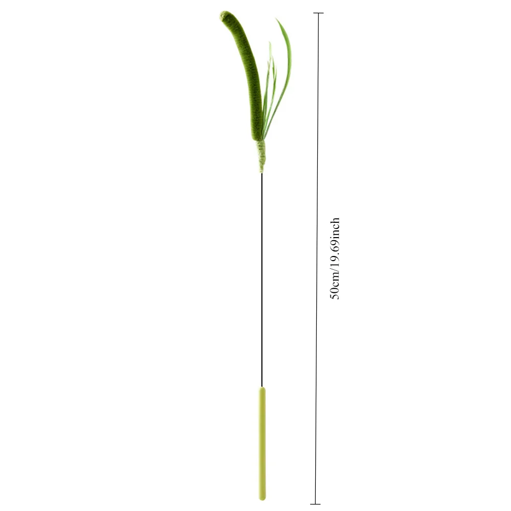Kimpets-cauda de perro y gato, hierba para perro, pluma de salvia, poste largo, palo de burlas para gato, herramienta autocalentable resistente a mordeduras, juguete para gato, suministros para mascotas - imagen 5