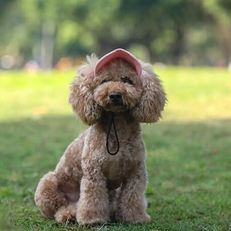 Gorra para perro, gorra de béisbol ajustable para cachorros, gorra Oxford, gorra con visera de béisbol para perro con orificios para las orejas, sombrero para el sol para deportes al aire libre, suministros para mascotas - imagen 4