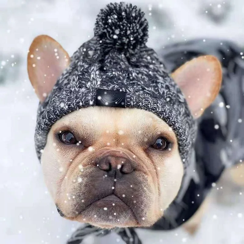 Gorros cálidos de invierno para perros, gorro de Bulldog Francés tejido a prueba de viento para perros, gorro para Chihuahua, gorro esponjoso para mascotas, accesorios para cachorros