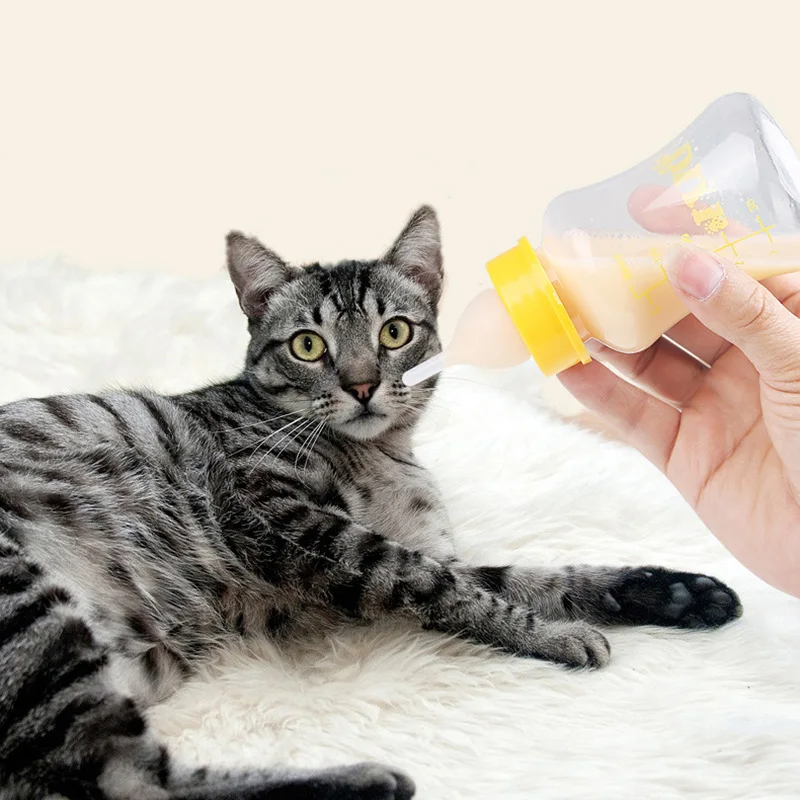 Comedero para mascotas de 60/150ml para perros pequeños, gatos, recién nacidos, cachorros, gatitos, gatos, leche, botella de agua, accesorios de alimentación para perros, productos para mascotas - imagen 4