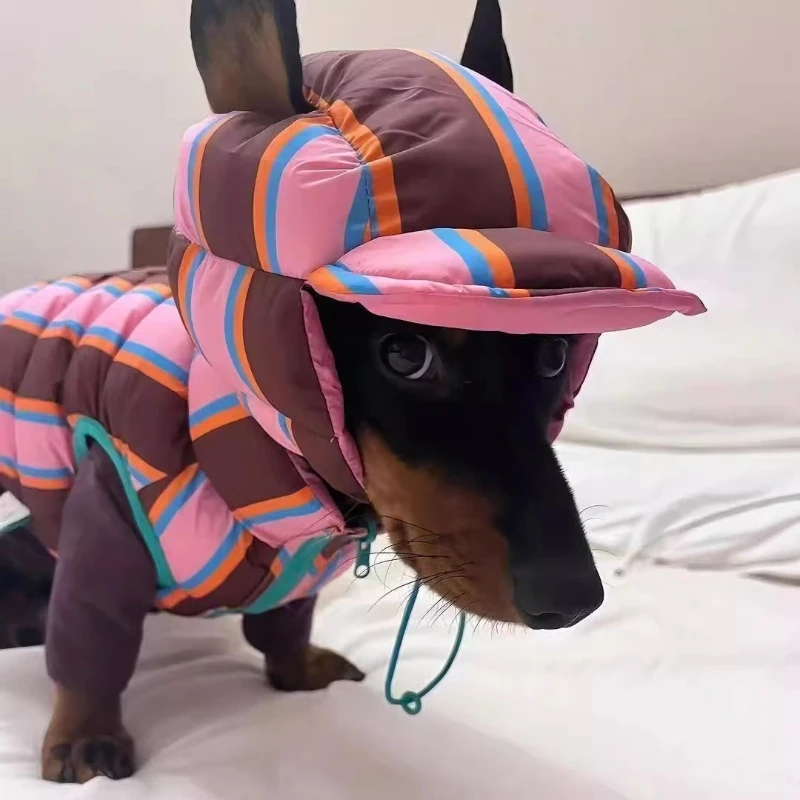Ropa de otoño e invierno para perros, ropa cálida de algodón para perros, chaleco para cachorros y mascotas con sombrero, chaqueta para mascotas para perros pequeños y medianos al aire libre - imagen 2