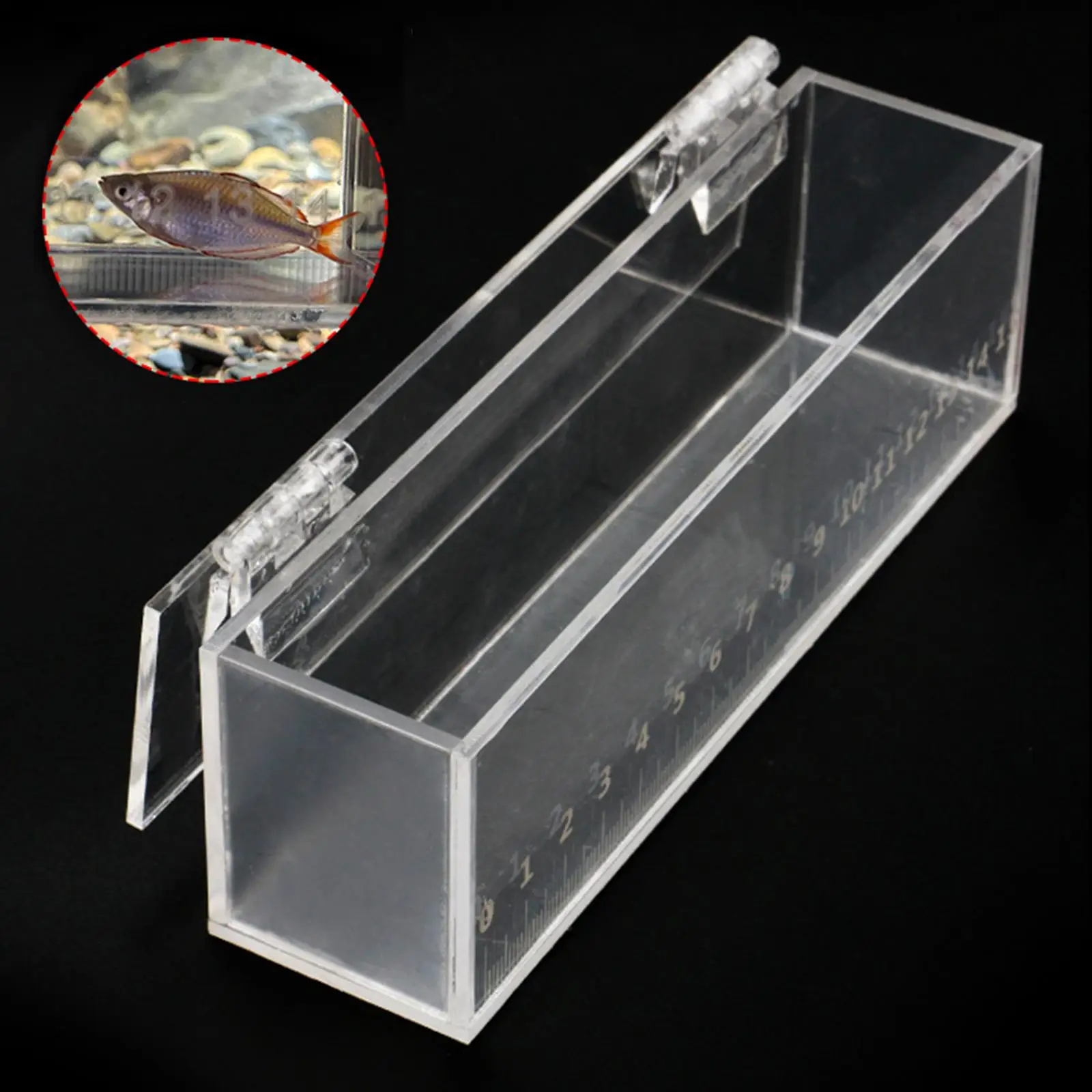 Fish Viewing Box with Scale Fishing Acrylic Isolation Breeder Box Fish Breeding Tanks with Lid