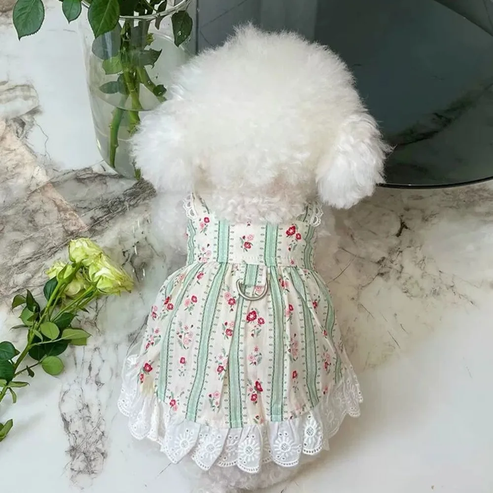 Ropa para mascotas, falda de encaje Floral a rayas, oso de peluche, gato, ropa fina para perros pequeños, vestido para perros pequeños, Primavera/Verano, nuevo - imagen 2