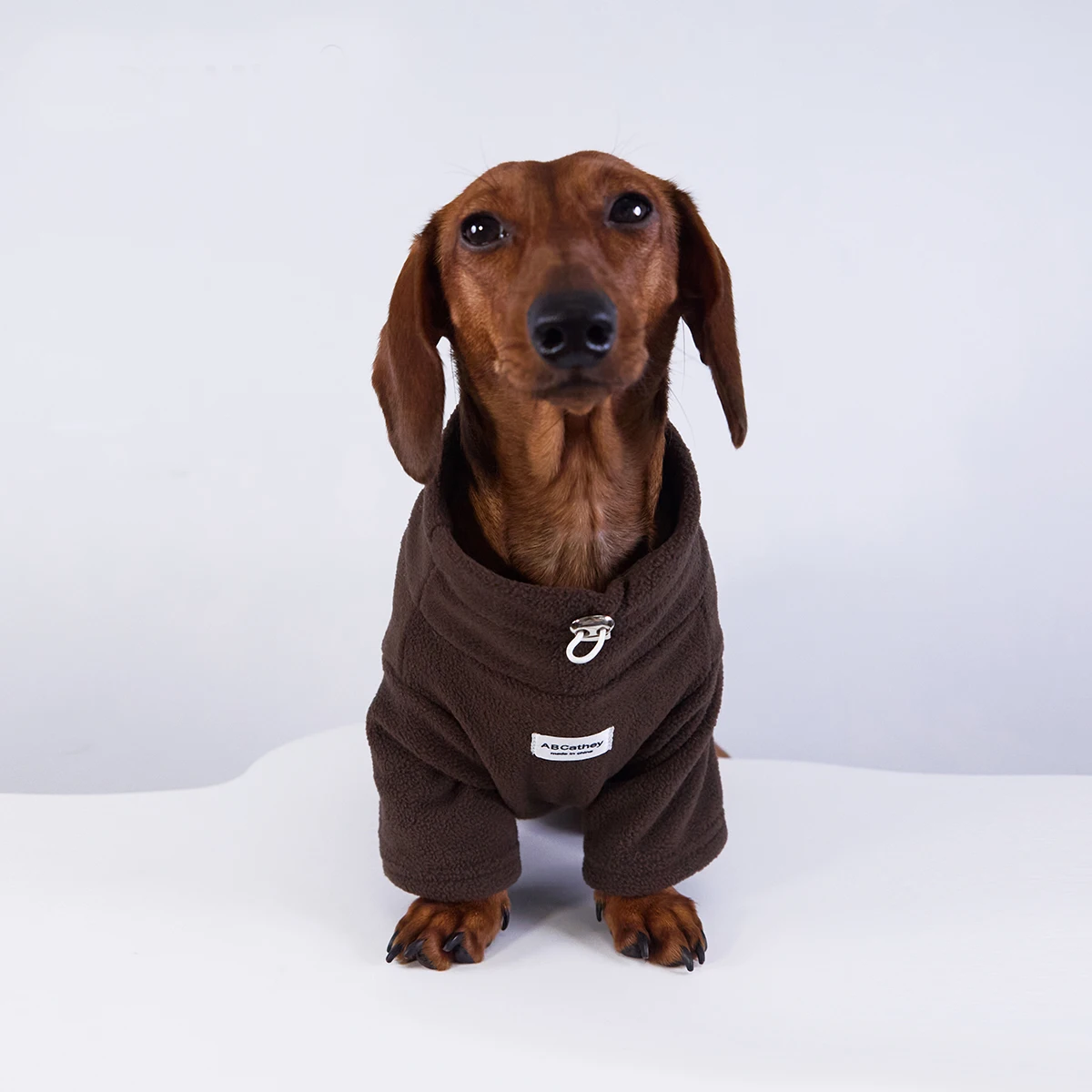Sudadera de lana cálida de invierno para perros Wiener, ropa de moda suave y gruesa de otoño para perros salchicha, disfraz de 2 patas para perro salchicha