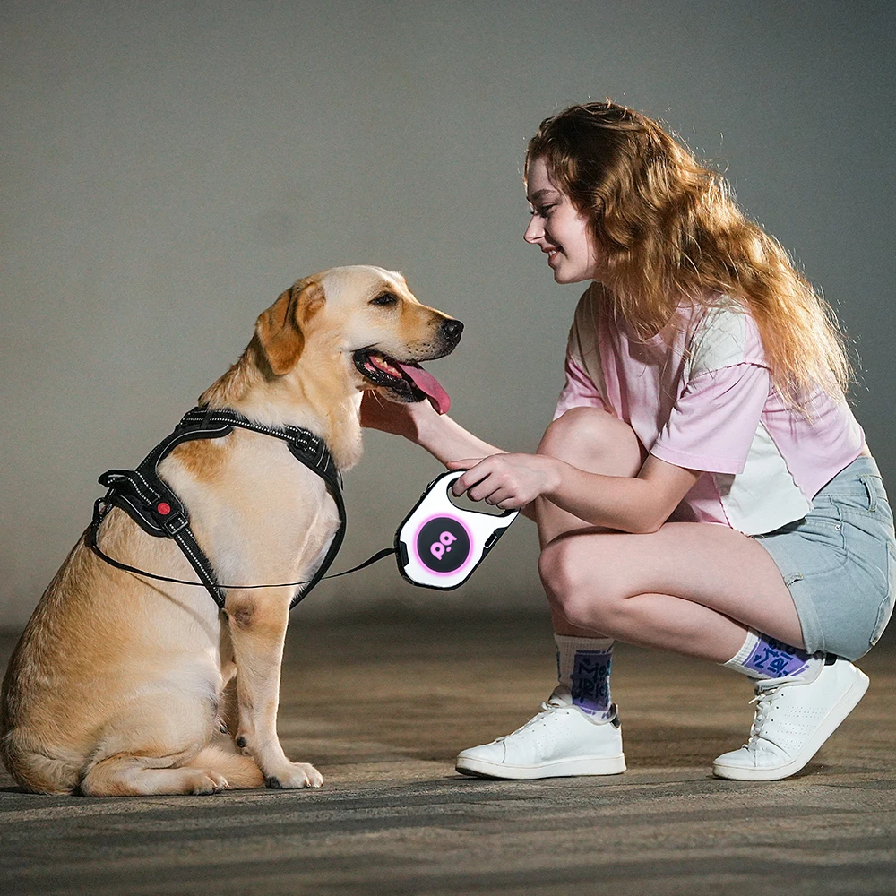 Correa automática para mascotas de alta calidad de 5M con cuerda de tracción LED para perros grandes y medianos, accesorios de correas retráctiles - imagen 4