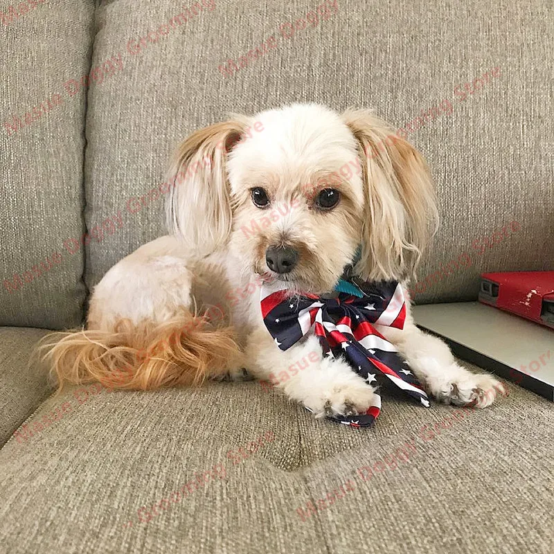 50/100 Uds. Pajaritas para perros a granel para perros pequeños, pajarita para perros, corbatas mezclan 50 colores, accesorios para el cuidado de mascotas - imagen 2