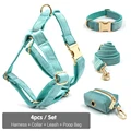 Harness Collar Set