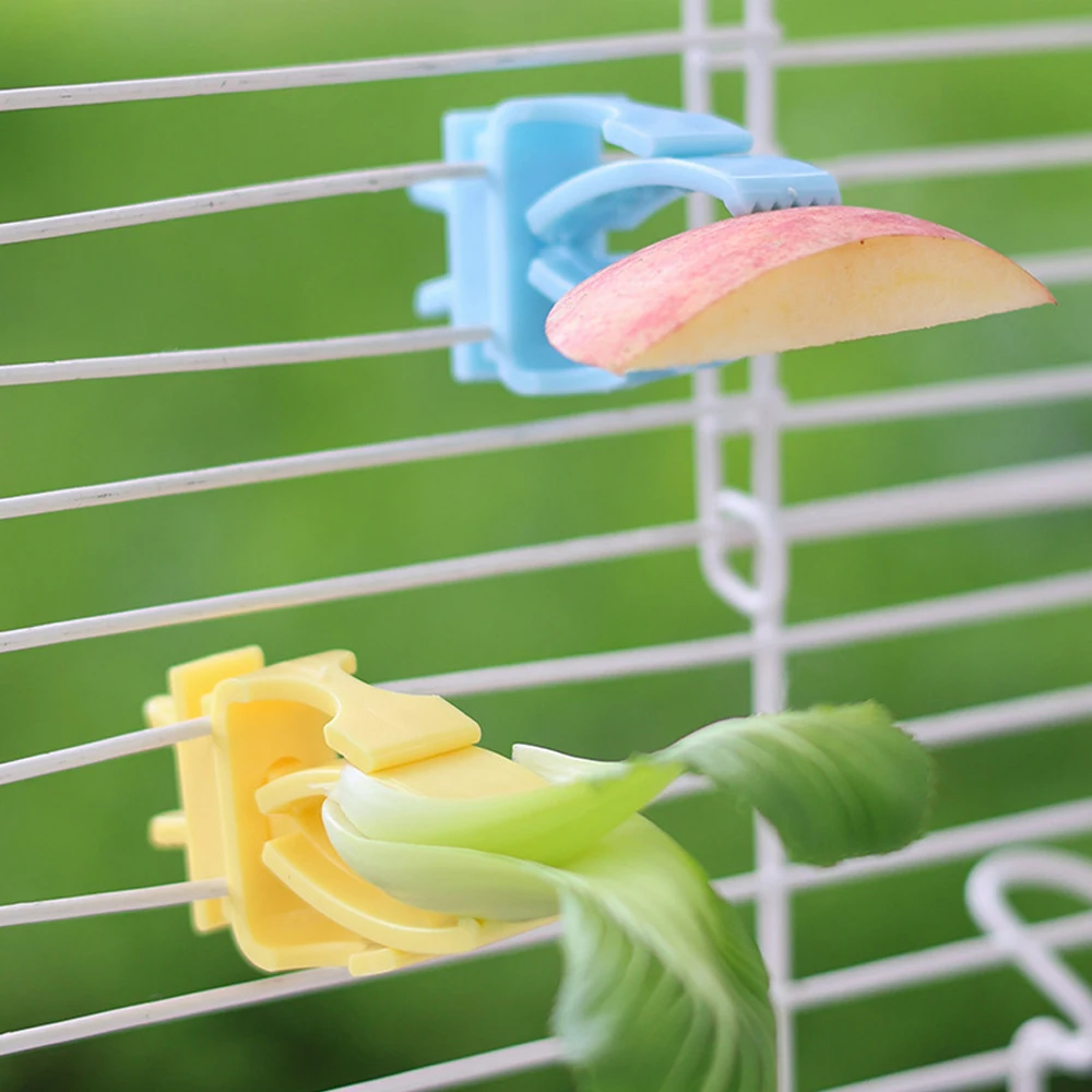 Juego de 2/4 Uds. De soportes de comida para pájaros y mascotas, Clip para loros, frutas y verduras, dispositivo alimentador de huesos para sepia, accesorios para jaulas de pájaros y loros - imagen 4