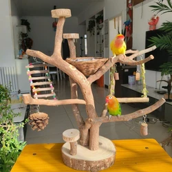 Posadero natural para loro – Rama de madera para posar y masticar