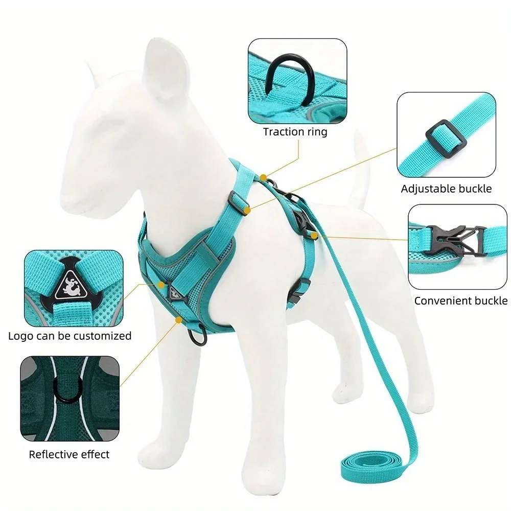 Arnés y correa para gatos – Set completo de paseo ajustable - imagen 2