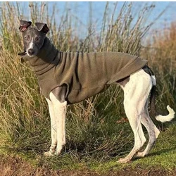 Chaleco felpa verde sin mangas para Lebrel Italiano – Primavera-otoño