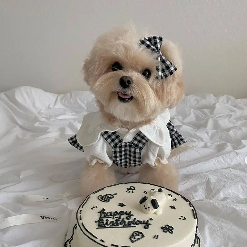 Camisa a cuadros vestido de tirantes ropa para perros pequeños primavera nueva ropa linda oso grande Teddy ropa para cachorros pequeños lindo sombrero para el sol para perros - imagen 4