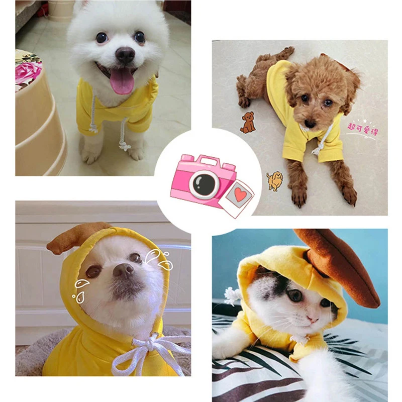Conjunto de chaqueta de Chihuahua francesa con capucha para cachorros, ropa de lana cálida para mascotas, ropa bonita para cachorros de frutas - imagen 5