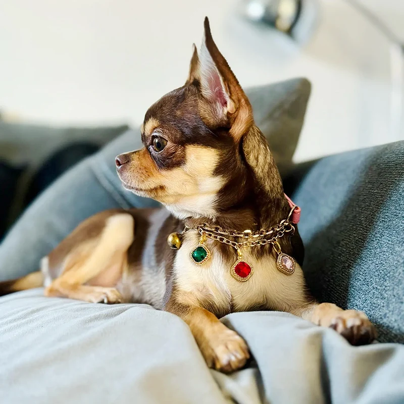 Collar para mascotas para perros pequeños, gatos, colgante de diamante ajustable, Collar para perro con borla, Collar para cachorro, regalo de boda y Día de San Valentín - imagen 3