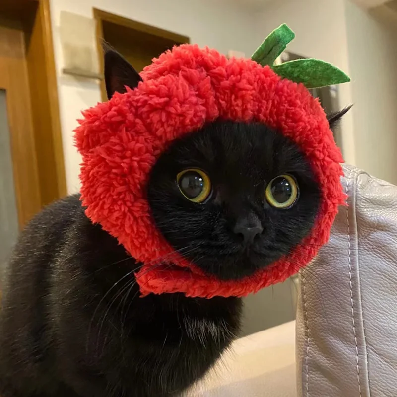 Sombrero de gato de cerveza creativo, gorros divertidos de gatito para fiesta de año nuevo, accesorios de Cosplay de Navidad, disfraz de mascotas, sombreros de cachorro - imagen 2