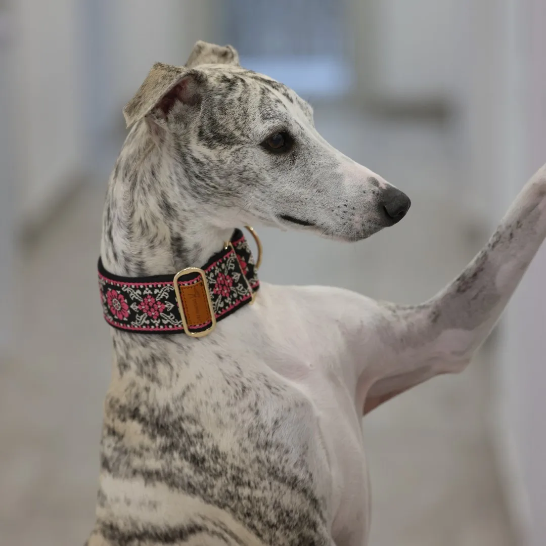 Collar de perro Martingale para gallinas / Collar de galgo / Collar Iggy / Collar Lurcher / Collar Whippet / Collar Galgo - imagen 3