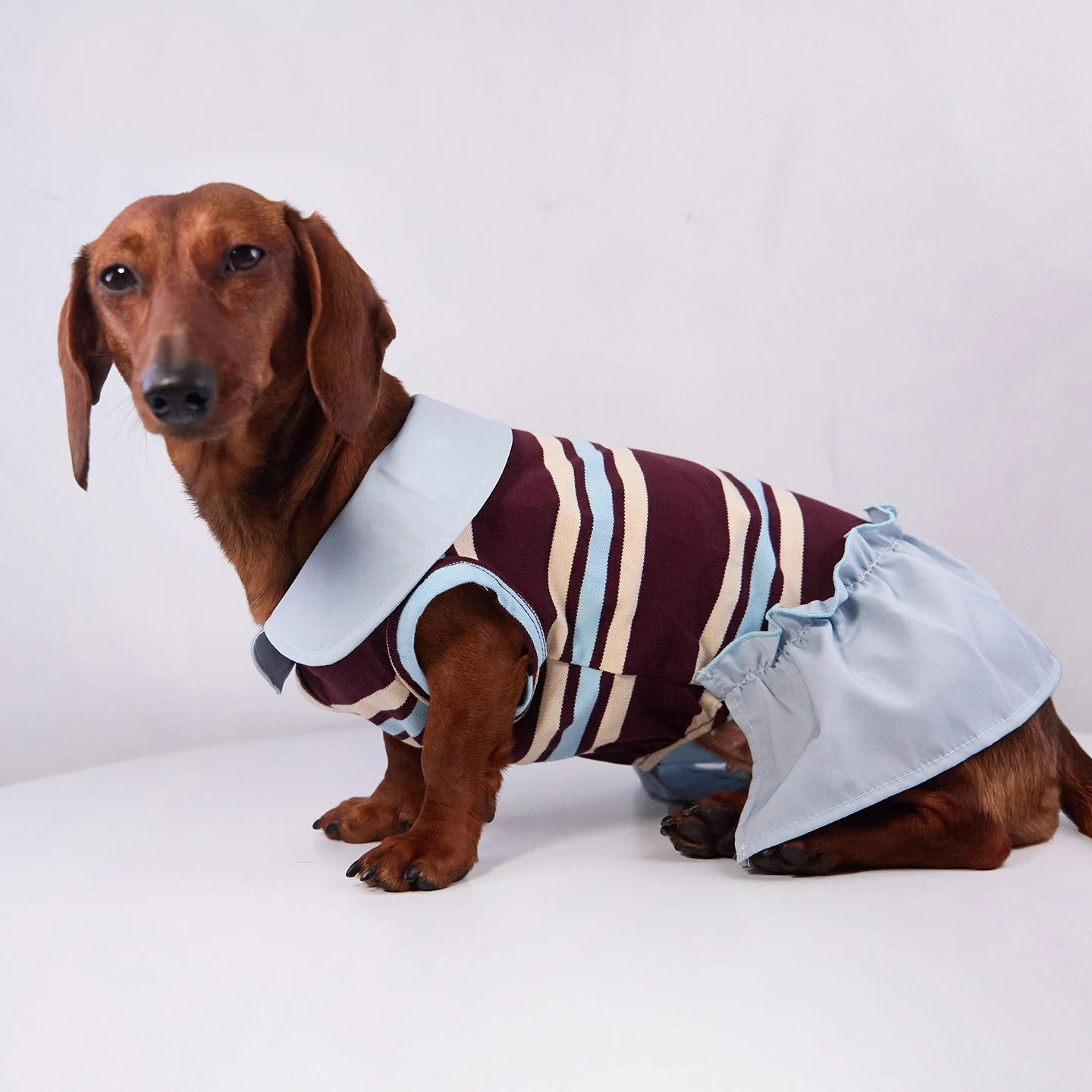 Camiseta de cuello alto a rayas para perros pequeños y medianos - imagen 4