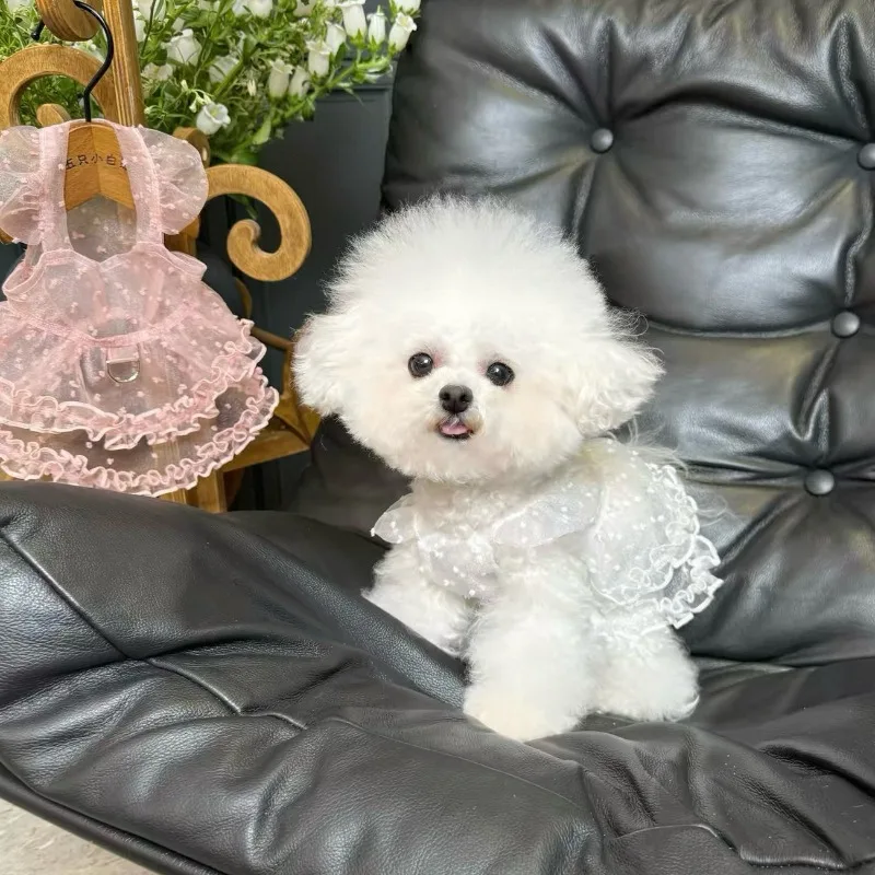 Vestido de verano para perro Maltés con encaje transpirable y tirantes - imagen 4