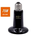 75W 2pcs