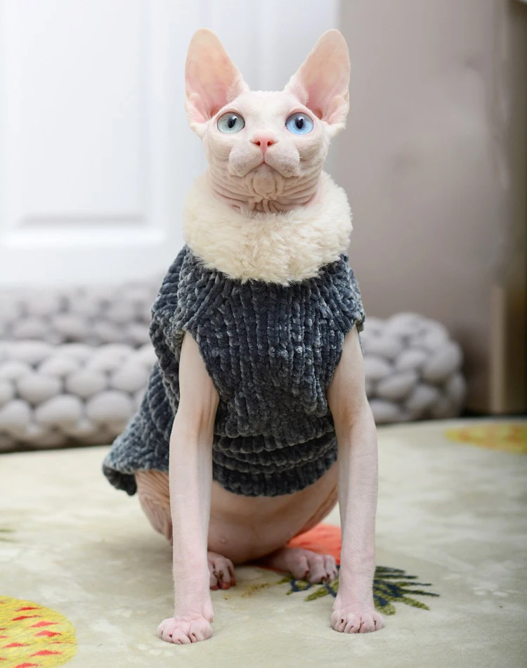 Devon Rex-abrigo de felpa grueso, suéter de gato, disfraz de Sphynix, ropa Katten Sphynx, jersey, productos de ropa para prendas de vestir de invierno - imagen 2