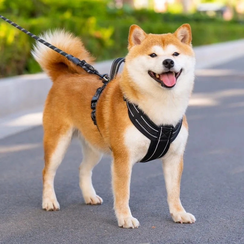 Arnés para perros pequeños y medianos, sin tirones, para caminar, senderismo, mascotas con asa, suministros para mascotas, Corgi, Shiba, Inu, Pug - imagen 4
