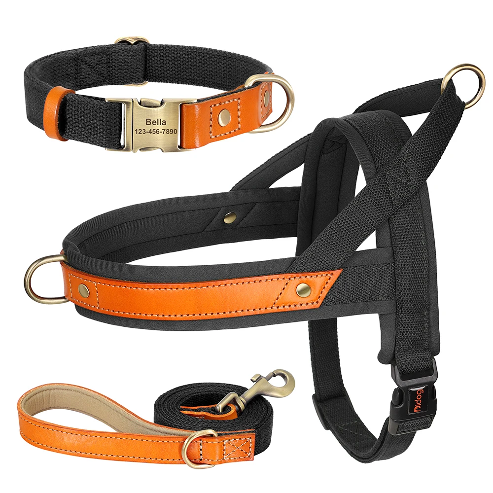Black Collar Harness