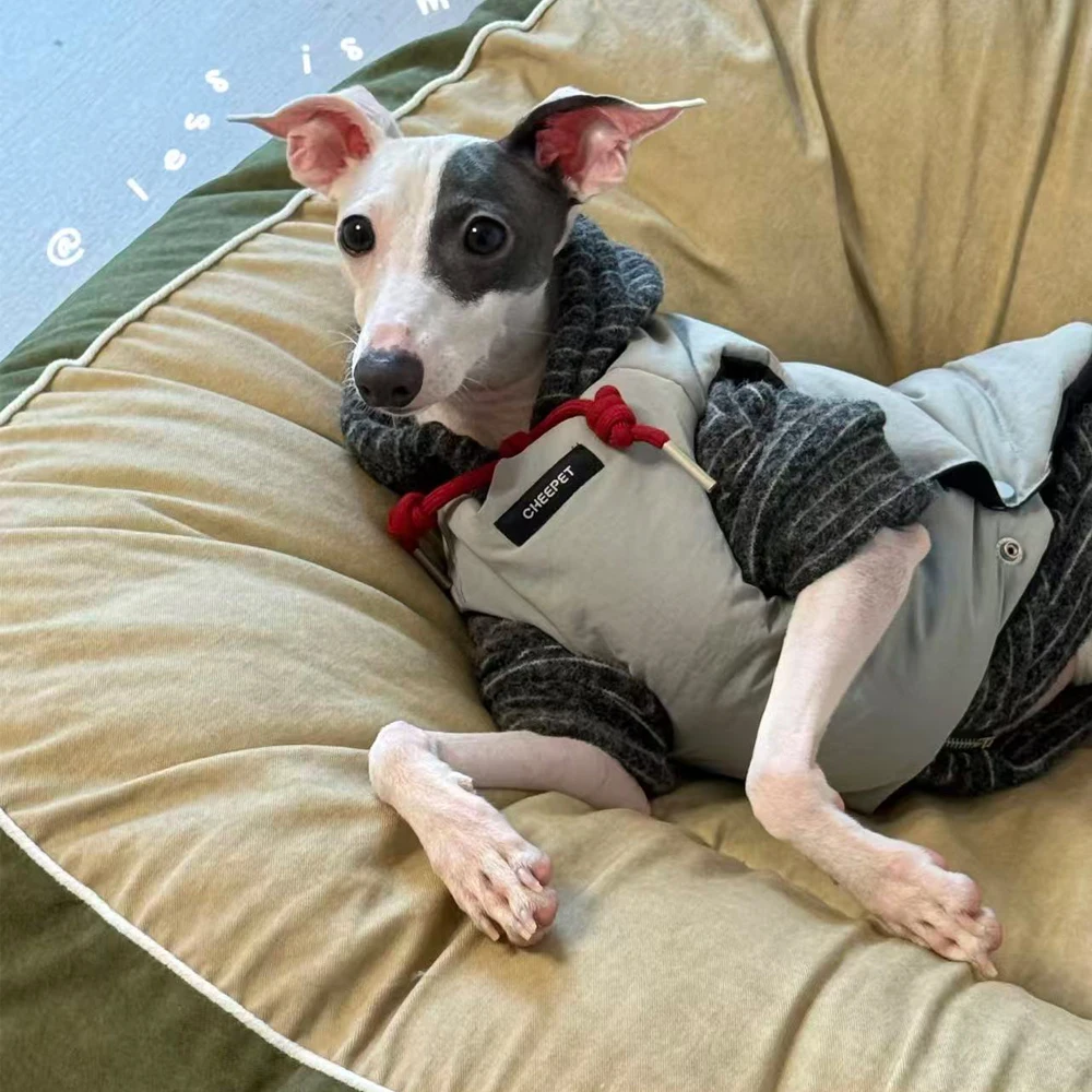 Abrigo cálido de dos lados para usar para galgo italiano en invierno, conjunto de dos piezas, chaqueta, camiseta interior con capucha para perros Samll Meida Whippet - imagen 2