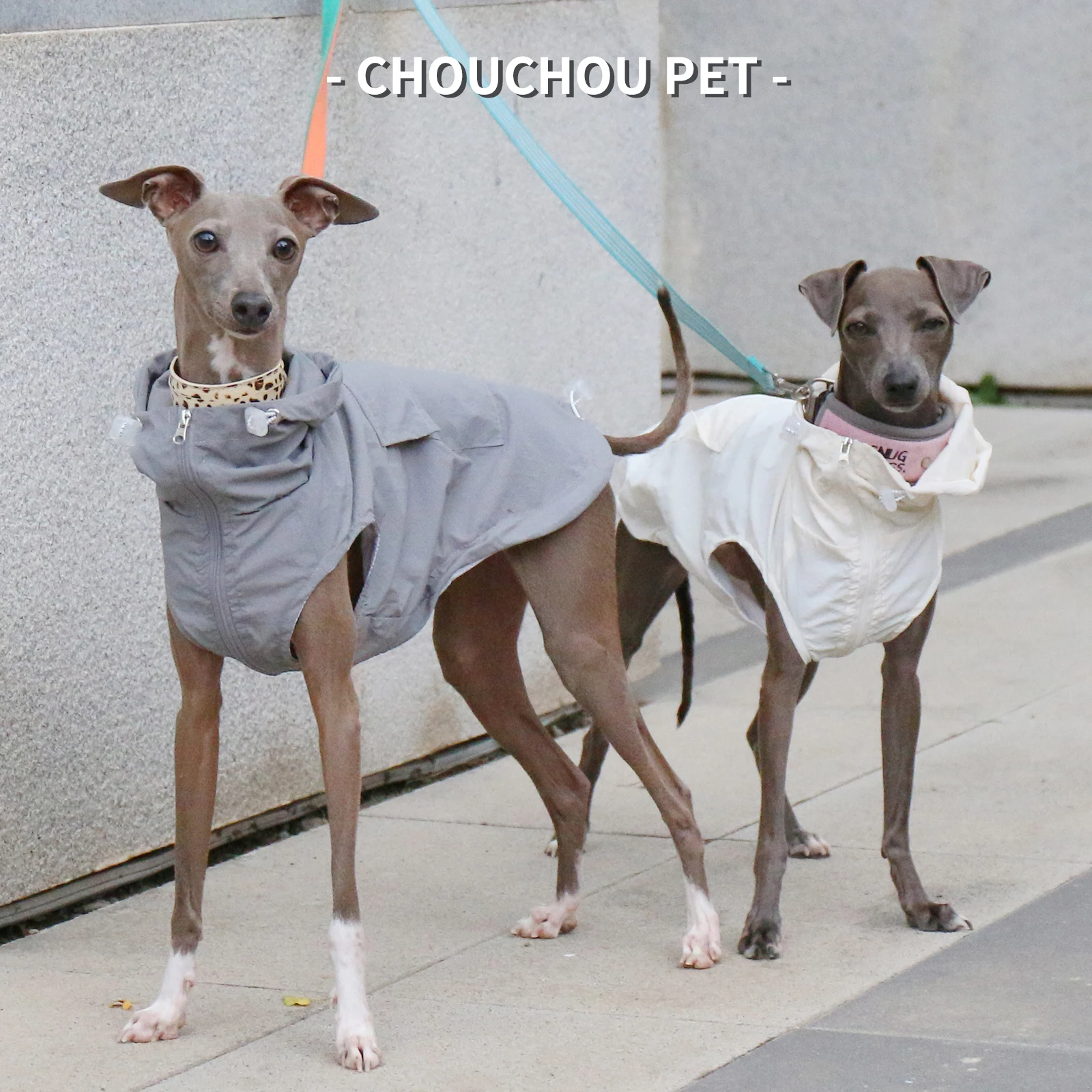 Otoño galgo Whippet Iggy chaleco con capucha para mascotas impermeable e impermeable ropa para perros con cremallera ajustable