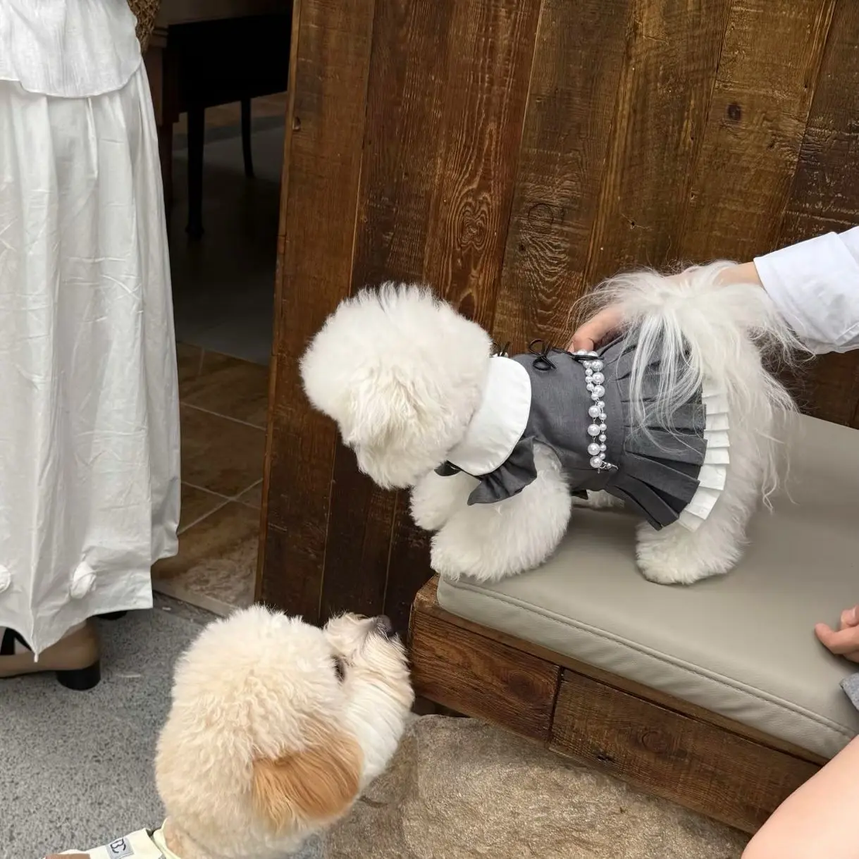 Nueva falda plisada Jk de estilo universitario coreano, ropa para mascotas, lindo atuendo para perros pequeños y medianos (bichon Frise, Pomeranian) y gatos - imagen 2