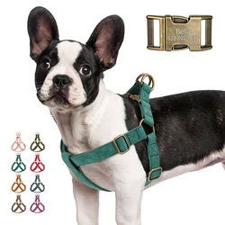 Arnés de cuero para perros – Personalizable y resistente