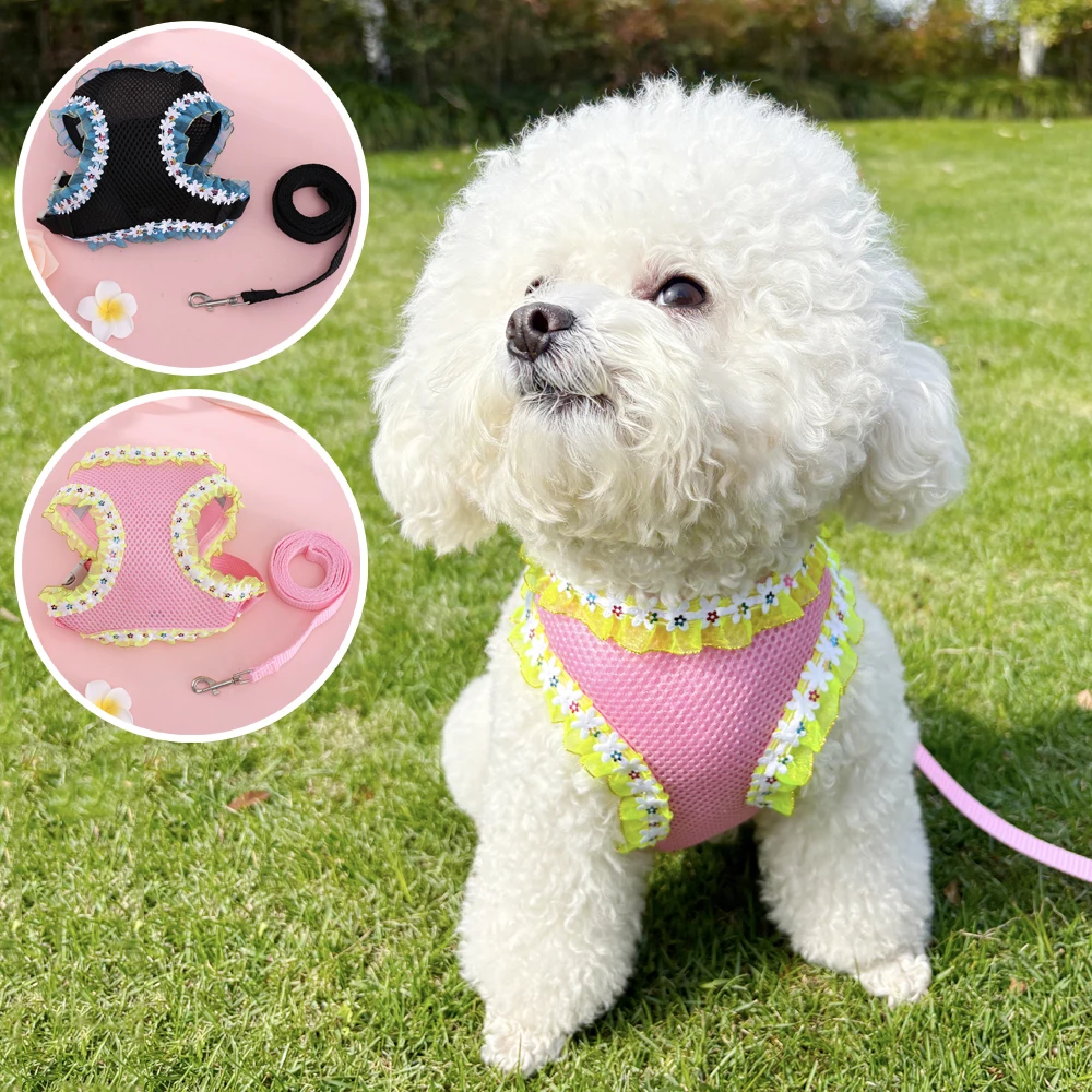 Arnés de encaje con flecos ajustable para gatos, conjunto de correa de malla cómoda, arnés para gatos pequeños, accesorios de correa transpirables para gatos