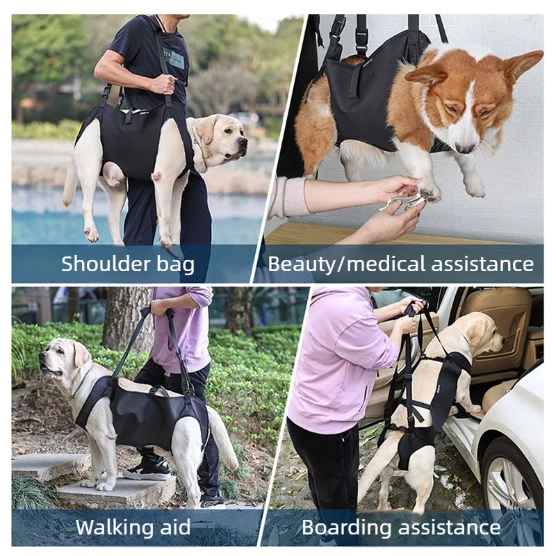 Transportín con arnés de apoyo para perros mayores o lesionados - imagen 2