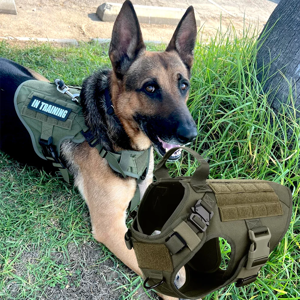 Conjunto de arnés táctico para perros, chaleco de estilo militar con correa y Collar para perros medianos/grandes, equipo ajustable para mascotas para entrenamiento y caza - imagen 5