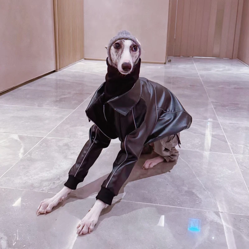 Moda Otoño chaqueta impermeable negra para Whipbit invierno cuero a prueba de viento ropa para perros galgo abrigo con cremallera para perros Meida
