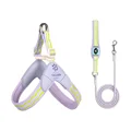 Purple Set