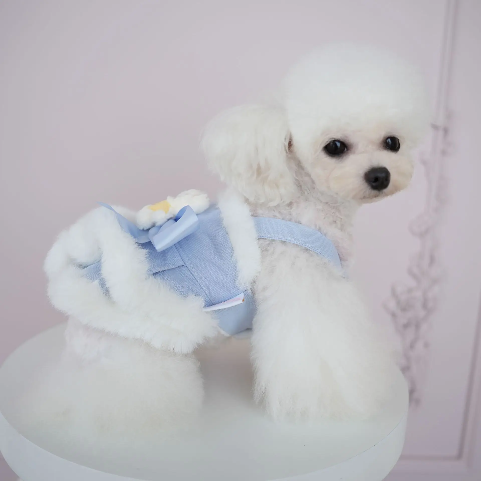 Vestido de tirantes de encaje de felpa para mascotas, abrigo de oso lindo, falda de oso de lana, ropa de cachorro de oso de peluche para perros pequeños, Otoño e Invierno - imagen 3