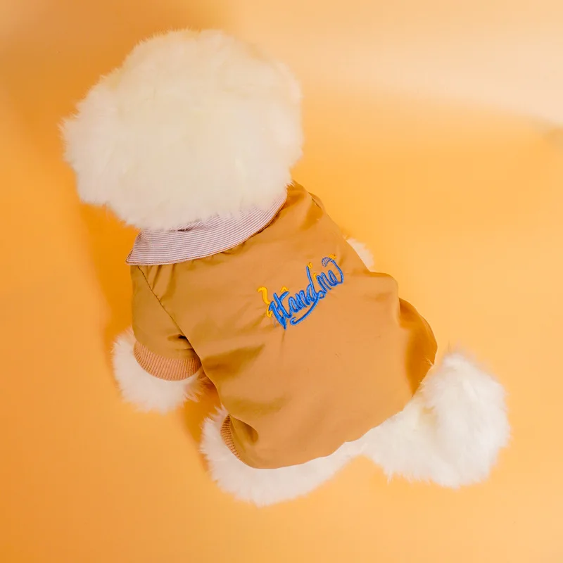 Nueva ropa para perros Corgi Pomeranian Teddy cálido cuatro estaciones Universal ropa de dos patas chaqueta Casual impermeable para mascotas - imagen 2