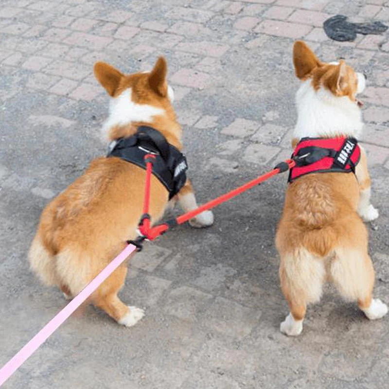 Acopladores de correa para perro, cuerda de 2 vías, correa doble para mascota, cinturón para caminar al aire libre para dos cachorros, Chihuahua, perros pequeños, accesorios de plomo