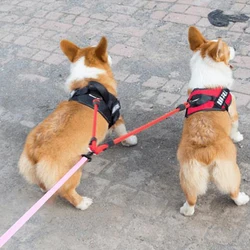 Correa doble para perros pequeños como Chihuahua – Caminata cómoda