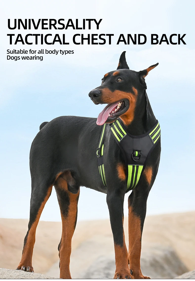 Arnés para perros, chaleco reflectante ajustable y transpirable, correa para el pecho para perros pequeños, medianos y grandes, Collar para cachorros y gatos, accesorios para perros