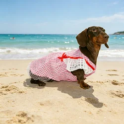 Sudadera cuello alto para perro salchicha – ideal entretiempo