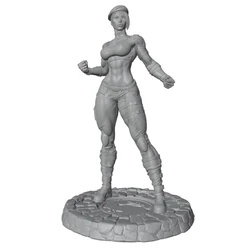 Kit de modelismo 75mm para pintar – Figura luchadora 1/24