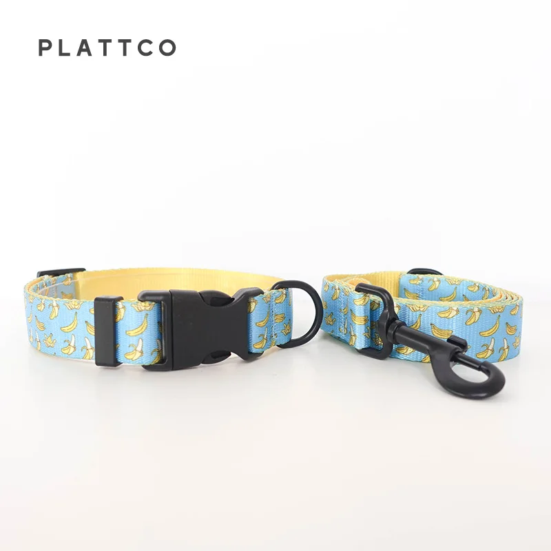 Dog Collar Leash Set