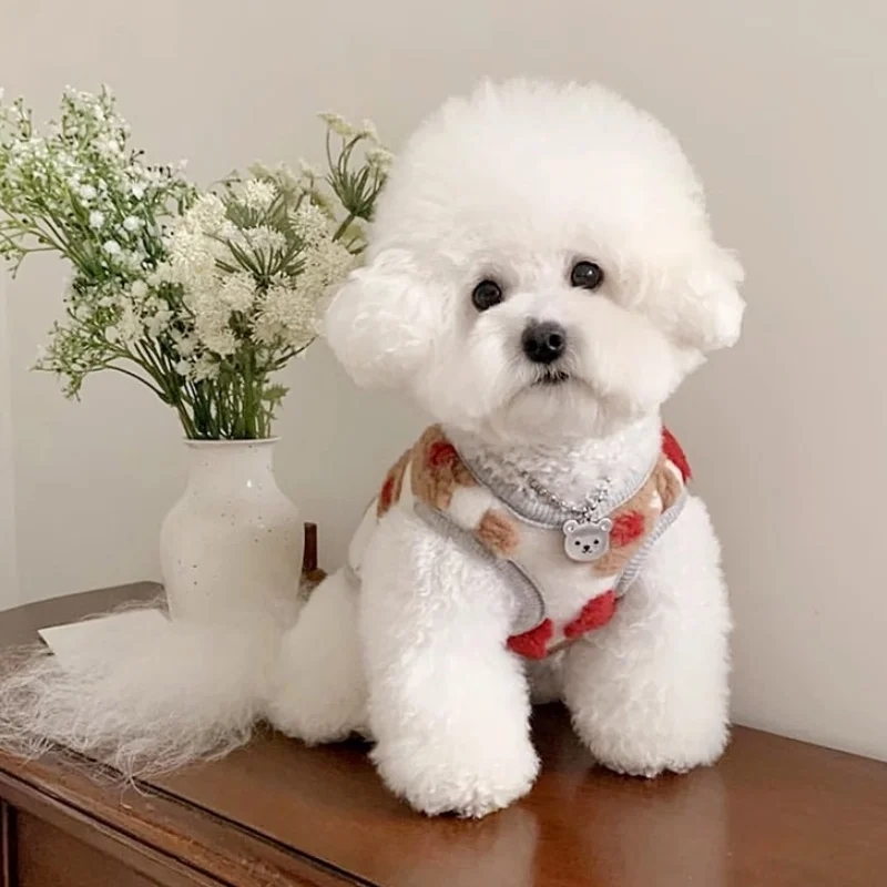 Ropa cálida de otoño para perros pequeños, chaleco con estampado de flores para perros, chaqueta de lujo para cachorros, abrigo de felpa suave para gatos, trajes para mascotas - imagen 4