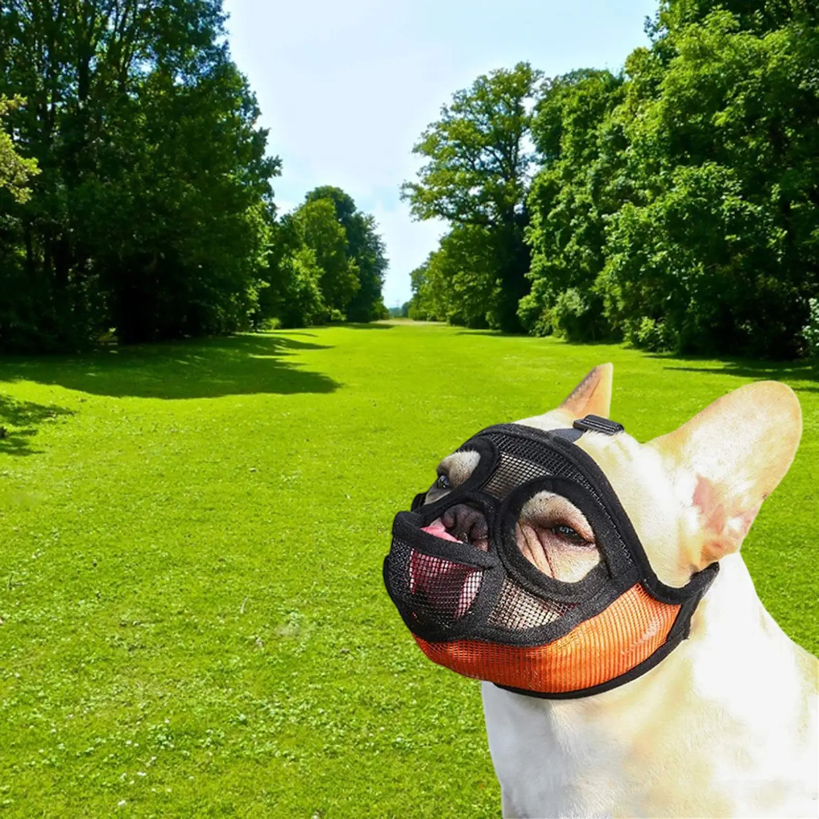 Short Snout Dog Muzzle Muzzle, Stop Dog for Biting Barking Chewing,