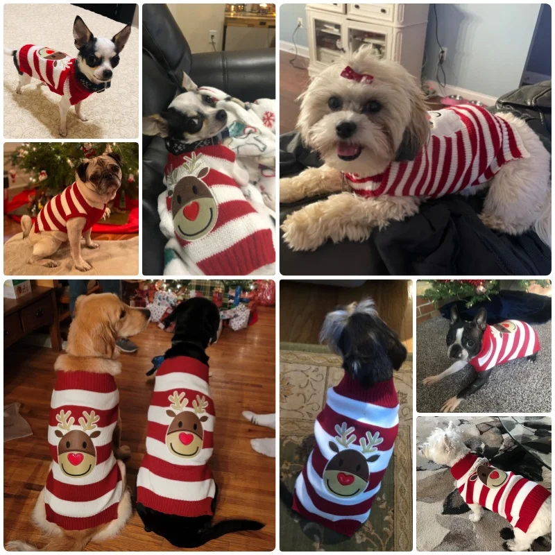 Suéteres de invierno para perros pequeños y medianos, ropa navideña para perros, bonito estampado, cuello alto para cachorros, suéter suave y cálido para gatos, suministros para mascotas - imagen 4