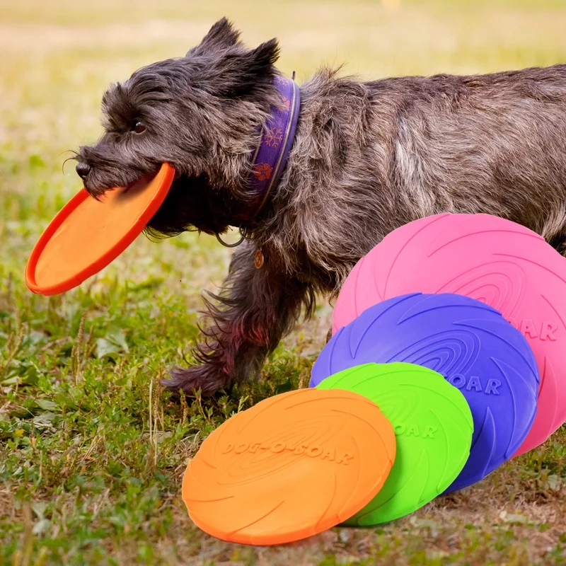 Disco volador para perro – Frisbee de goma resistente y flotante