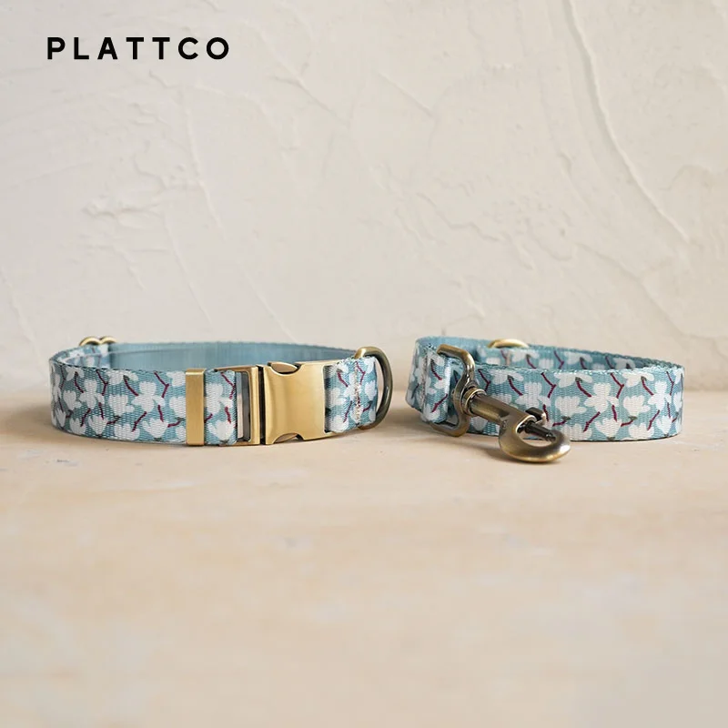 Dog Collar Leash Set