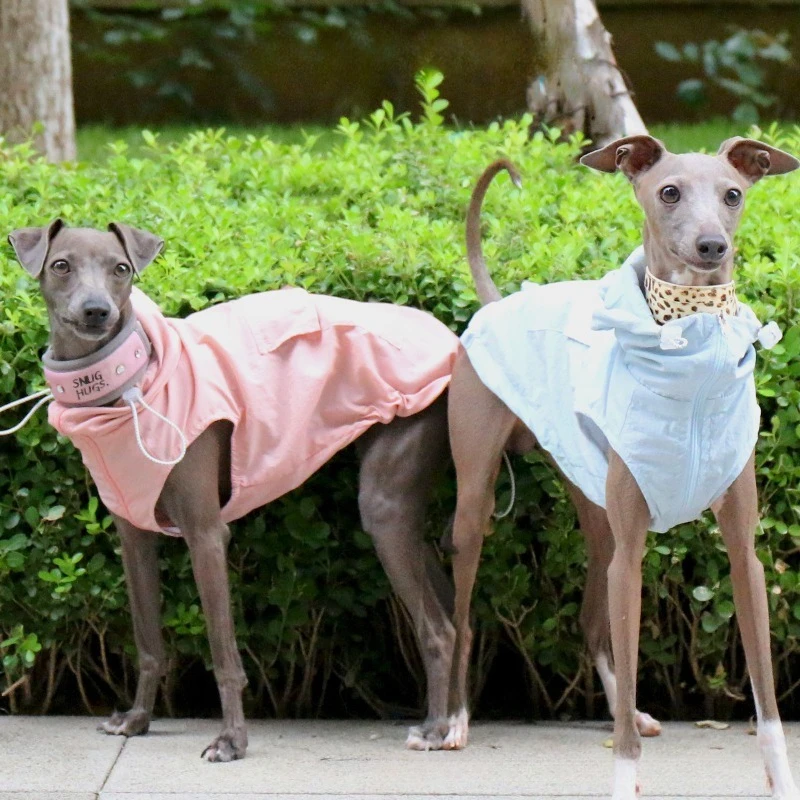Chaleco impermeable con protección solar para galgo italiano - imagen 5