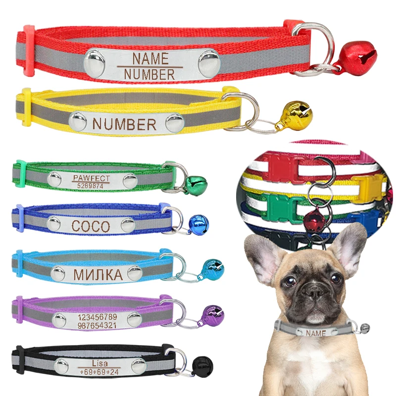 Collar perro PAWFECT - Vista principal del producto